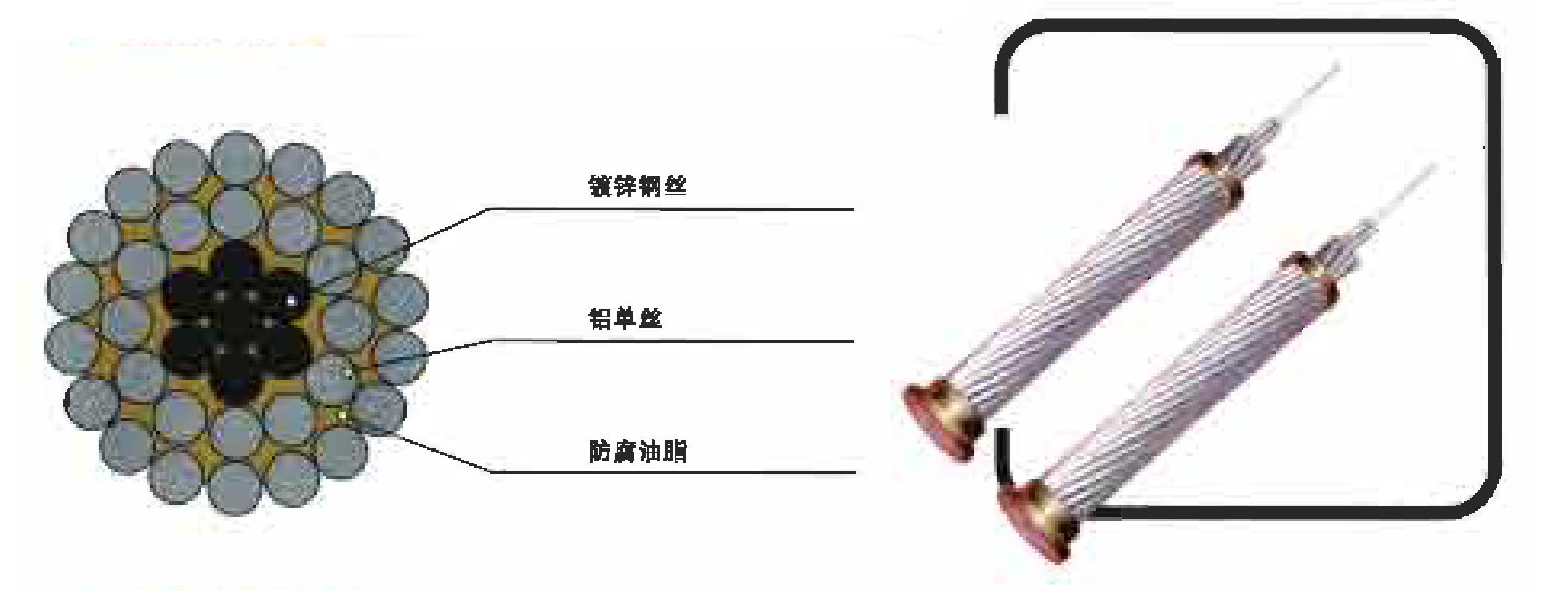 鋼芯鋁絞線、防腐鋼芯鋁絞線